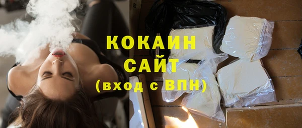 бошки Инта