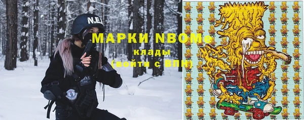 бошки Инта
