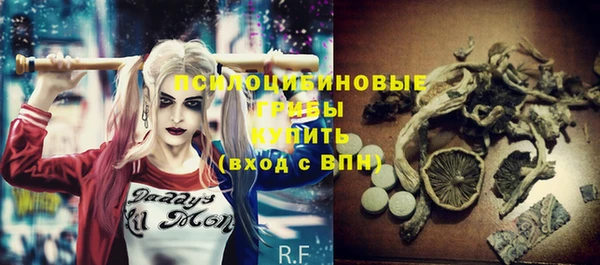 бошки Инта