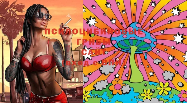 бошки Инта