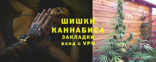 бошки Инта