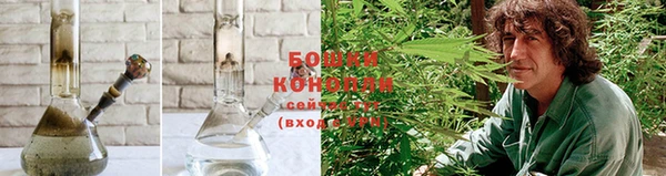 бошки Инта
