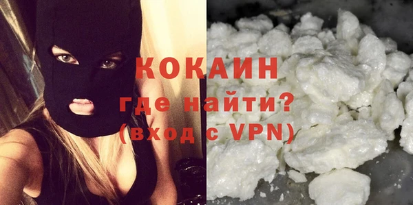 бошки Инта